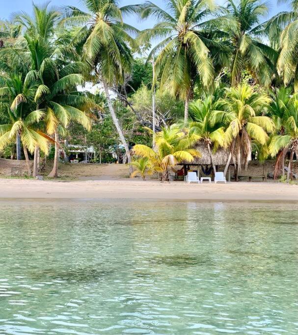 Casita Caribe En Reserva Natural, Playa Privada, Kayaks, Wifi, Aire Acondicionado San Onofre 外观 照片